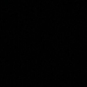 Meet your Posher, Elina